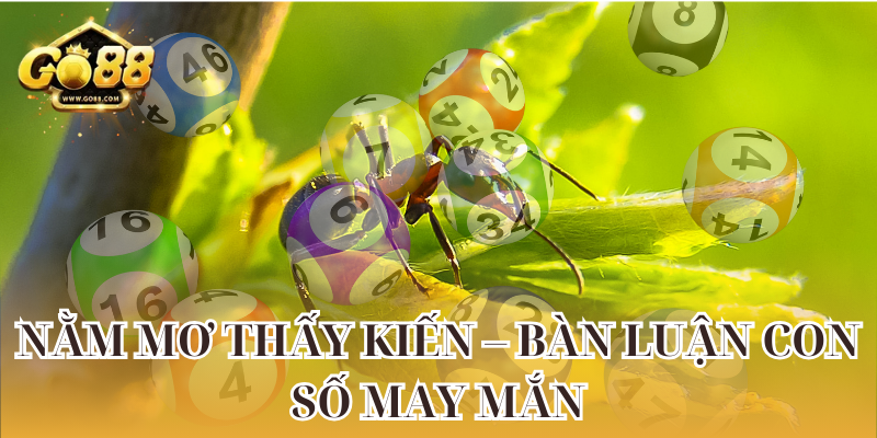 Nằm mơ thấy kiến – Bàn luận con số may mắn